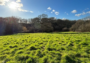 Land at Havenstreet - Land at Havenstreet