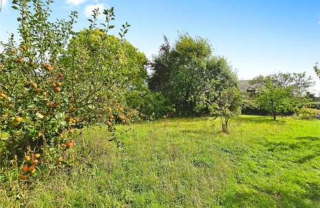 4 bedroom house for sale - Brook Farm Close, Brook, Newport, Isle of Wight, PO30