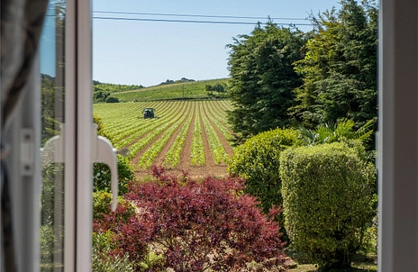 5 bedroom house for sale - Ford Farm Lane, Whitwell, Ventnor, Isle of Wight, PO38