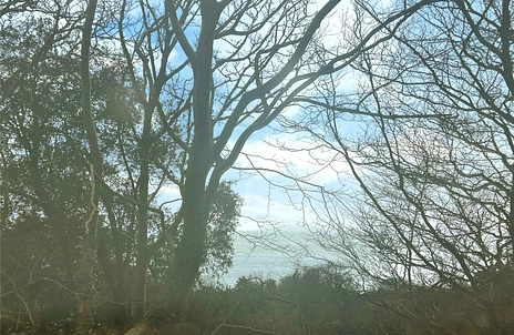 3 bedroom mobile home for sale - Westcliff Chalets, Boxers Lane, PO38