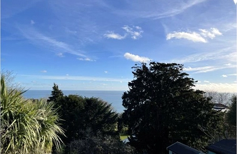 2 bedroom cottage for sale - Leeson Road, Ventnor, Isle of Wight, PO38