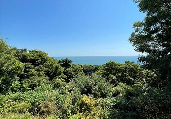 4 bedroom bungalow for sale - Gills Cliff Road, Ventnor, Isle of Wight, PO38